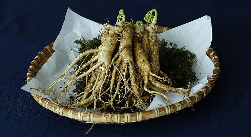 Ginseng: Its Sources, Benefits and Uses