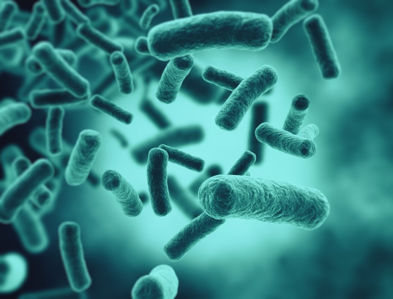 Good vs. Bad: A Lesson In Bacteria for Health