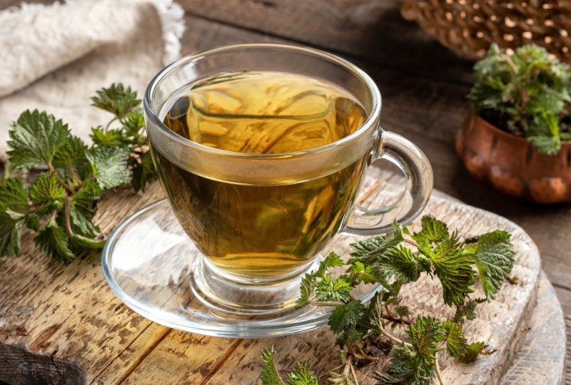 How Stinging Nettle Can Help You (And It Doesn't Hurt)