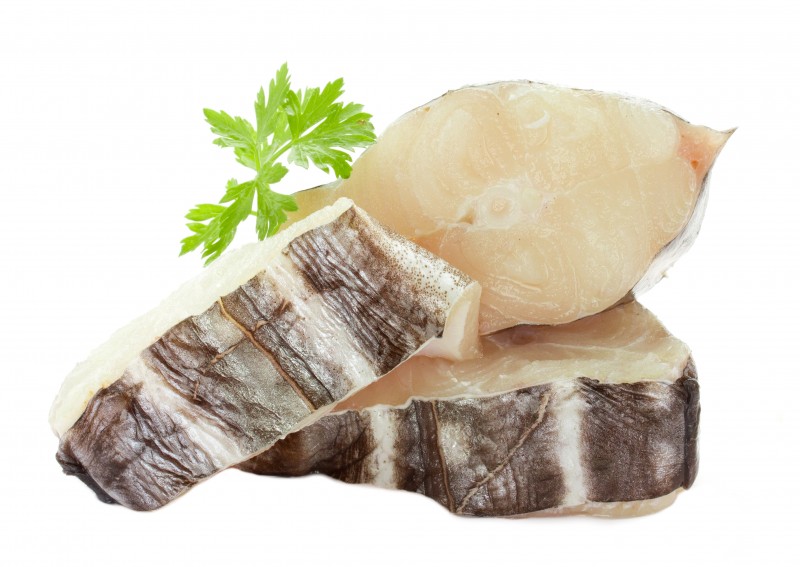 Let Shark Cartilage Take a Bite Out of Joint Problems