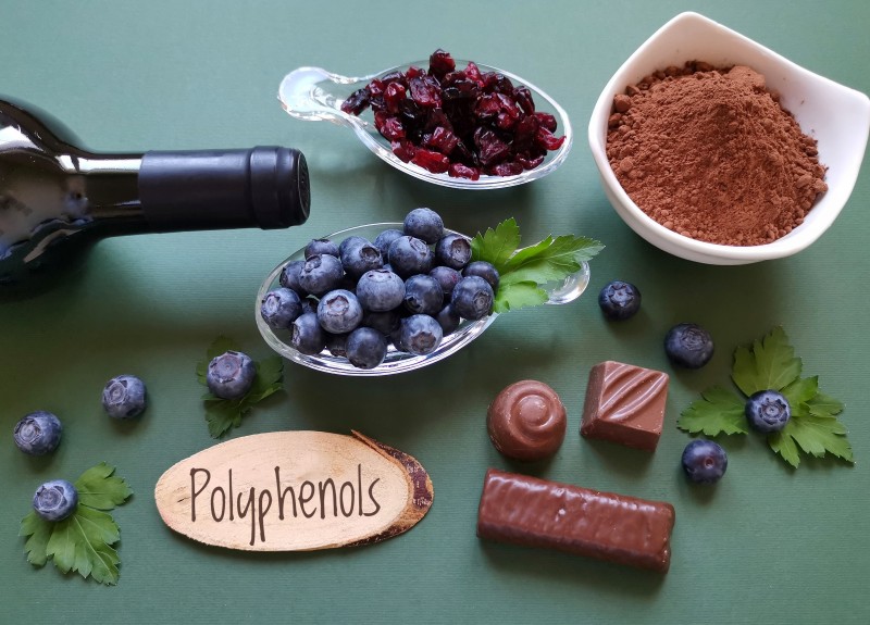 Polyphenols and Their Power for Good