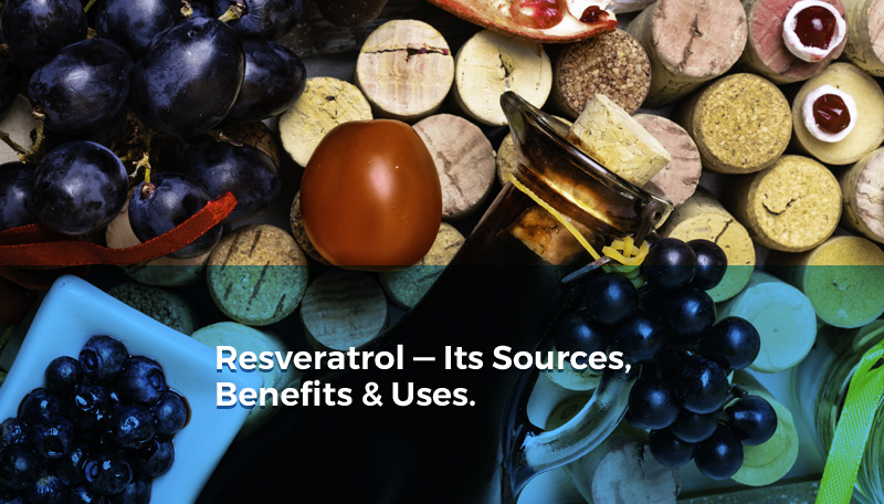 Resveratrol -- Its Sources, Benefits and Uses | Featured Product