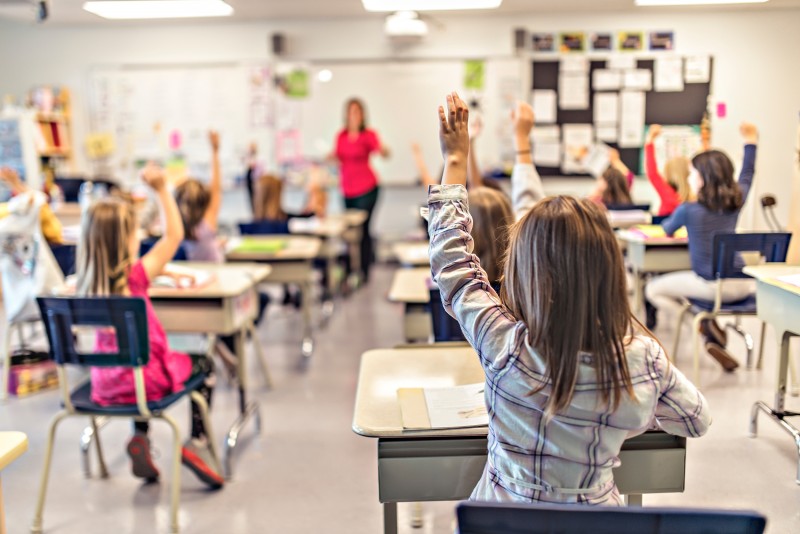 School Lessons: 5 Supplements for Students and Teachers