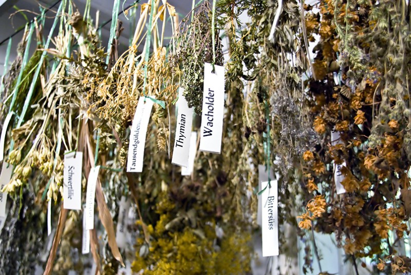 Sugar and Spice and Everything Nice for Good Health