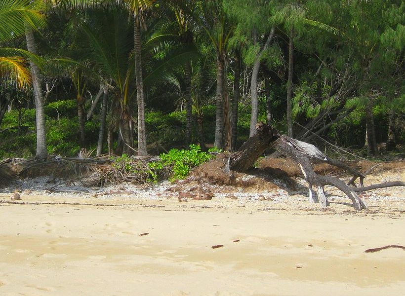 'T' is for Turmeric: Health, Nutrition & Supplements A to Z