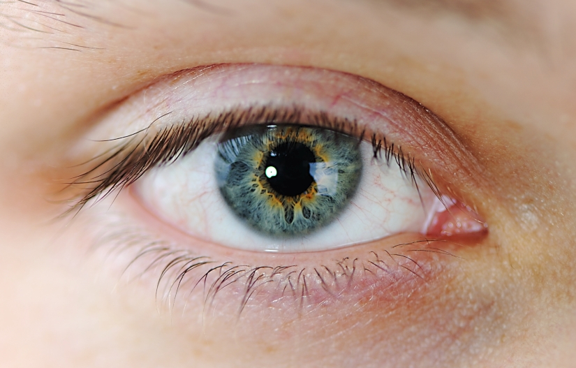 Take Action Now to Support Eye Health