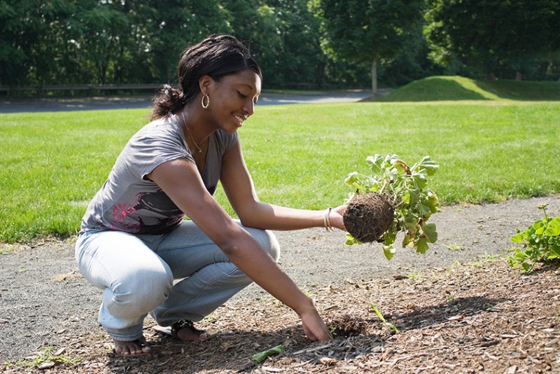Tips on How Gardening Is Great for Health and Fitness