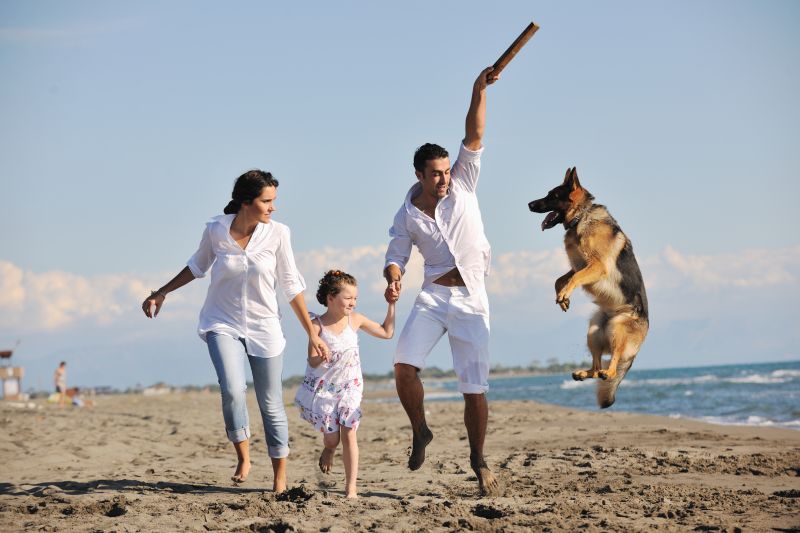 Vitamin B12 for Humans and Pets