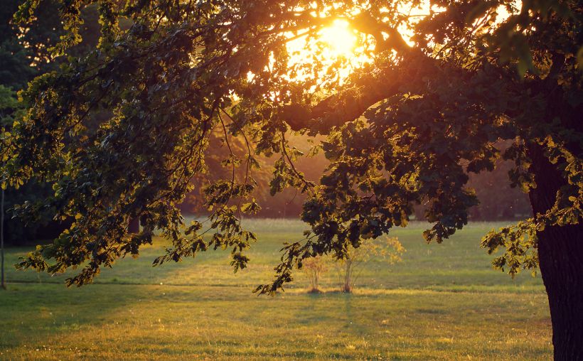 Vitamin D Is Your Sunshine in a Bottle