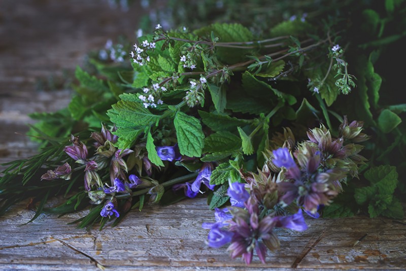 Vitamins, Minerals, Adaptogens and Herbs, Oh My!