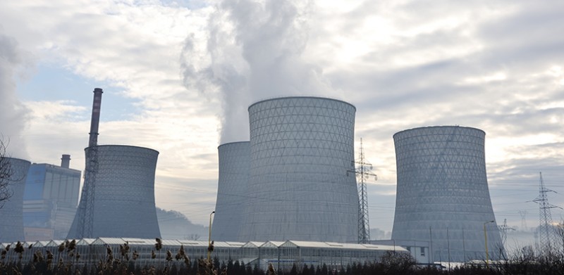 What Are Antioxidants and How Do They Benefit Me?