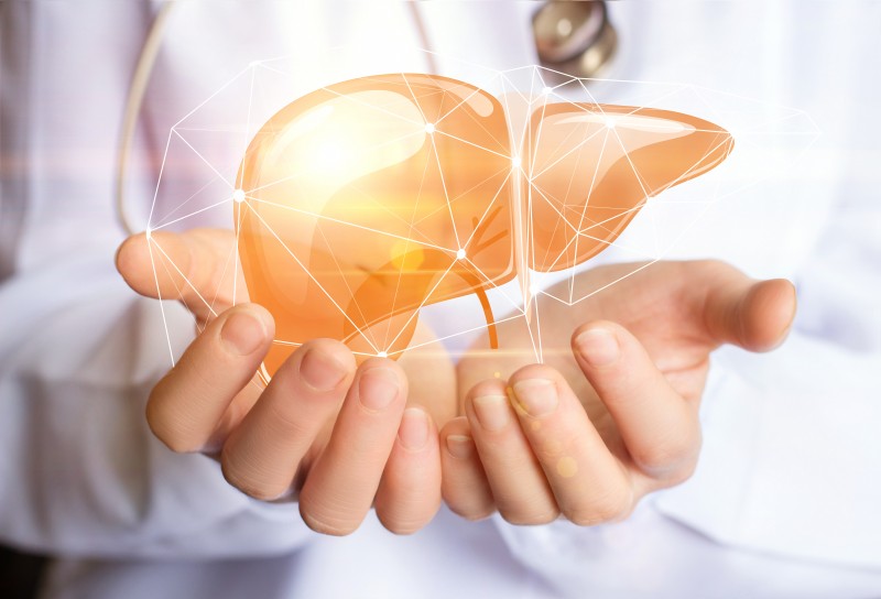 What You Can Do to Support Liver Function