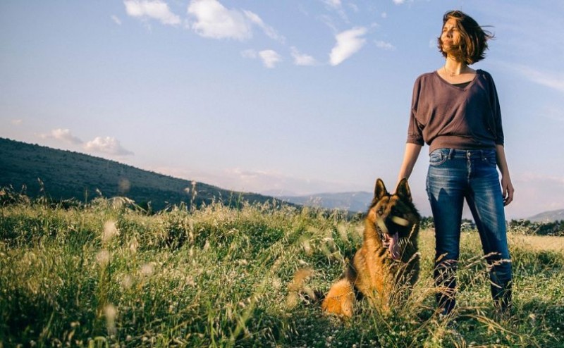 Your Dog May Benefit From Supplements Too