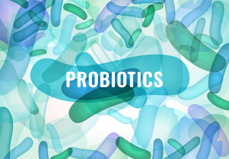 How Do Probiotics Work For Healthy Digestion? Wonder Laboratories