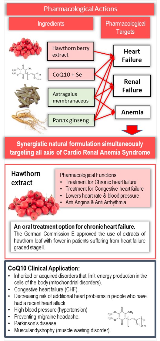 Ingredients of Cardio CPS