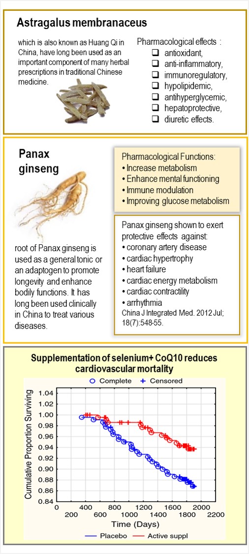 Ingredients of Cardio CPS