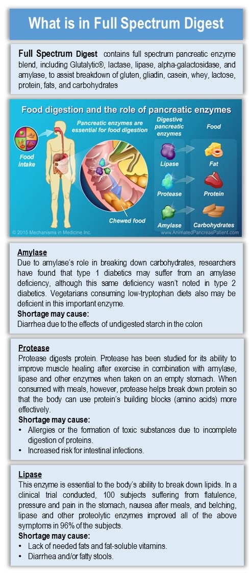 Amylase, Protease, Lipase