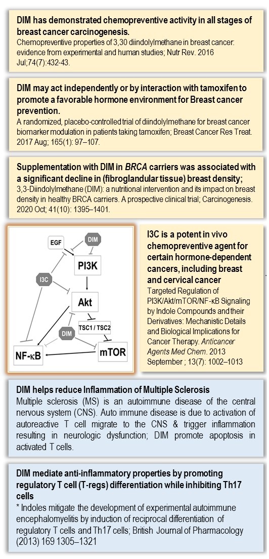 Clinical Studies of DIM
