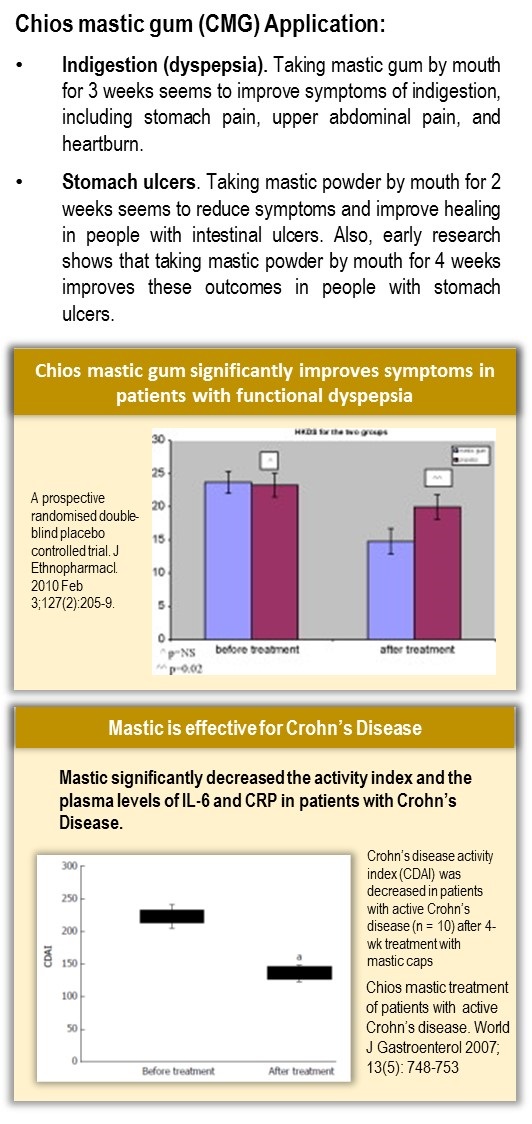 Applications of Mastic Gum