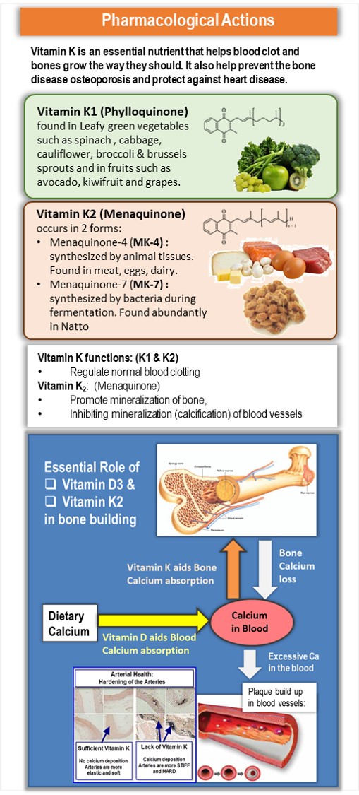 MK-7 and Vitamin D3 are essential in Bone Building and prevent Vascular Calcification