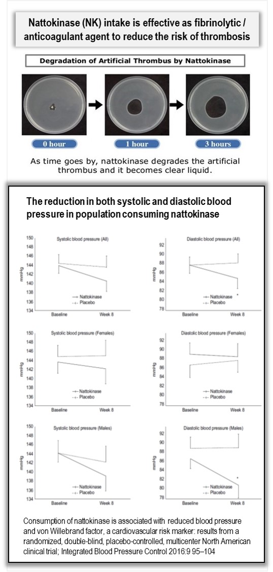 Nattokinase reduce blood pressure