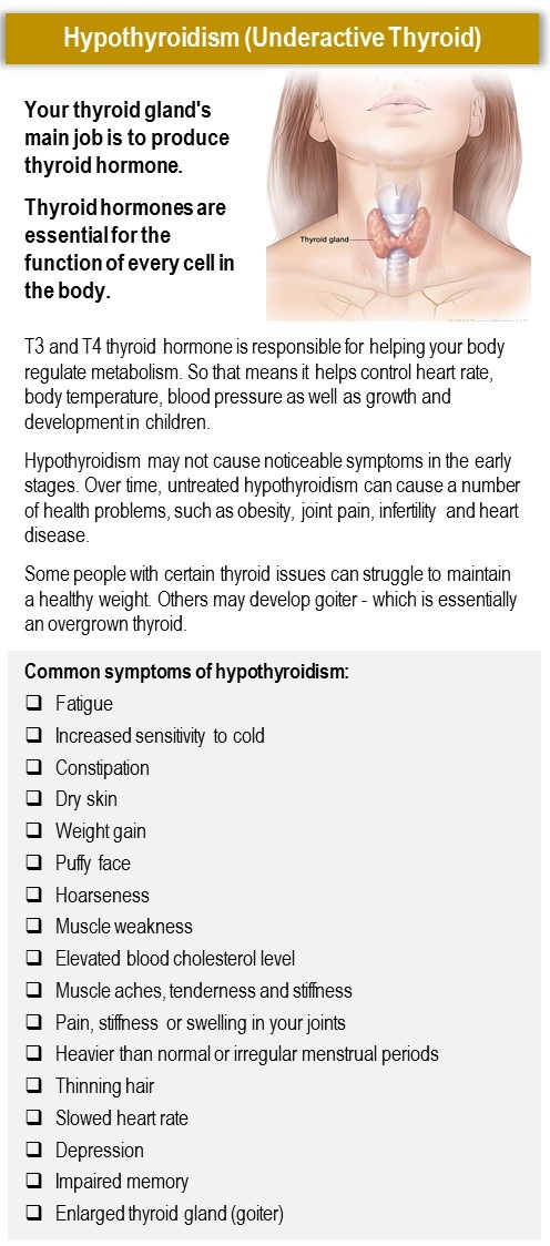 Symptoms of Hypothyroidism