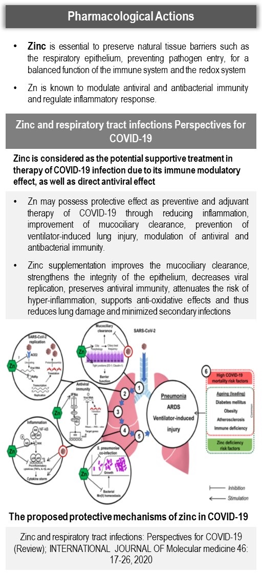 Protective Mechanism of Zinc in COVID-19