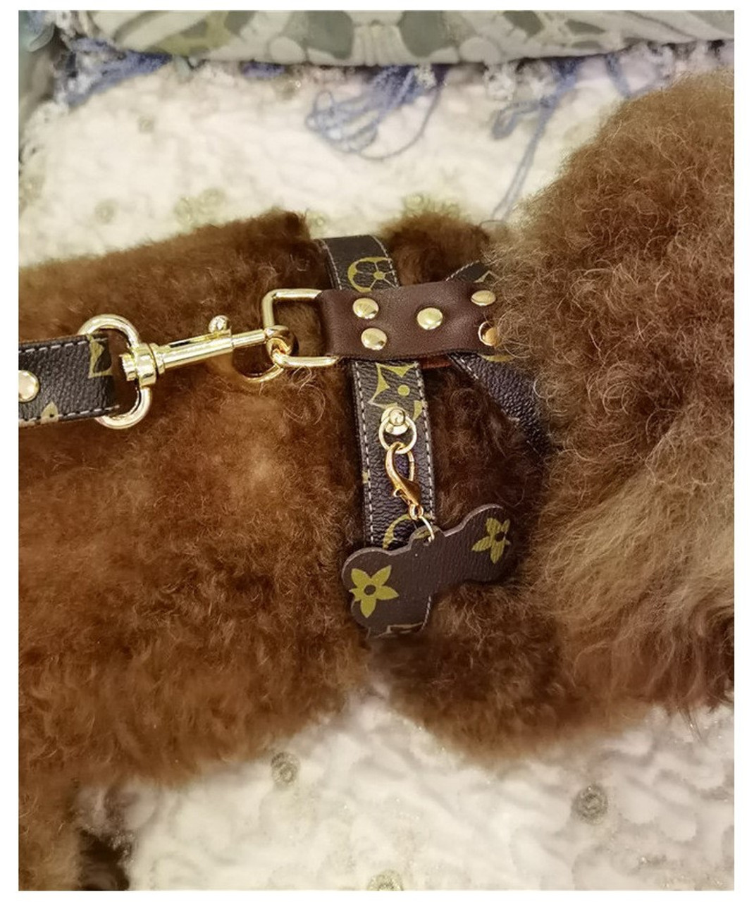 Top 85 louis vuitton dog harness không thể bỏ qua  trieuson5