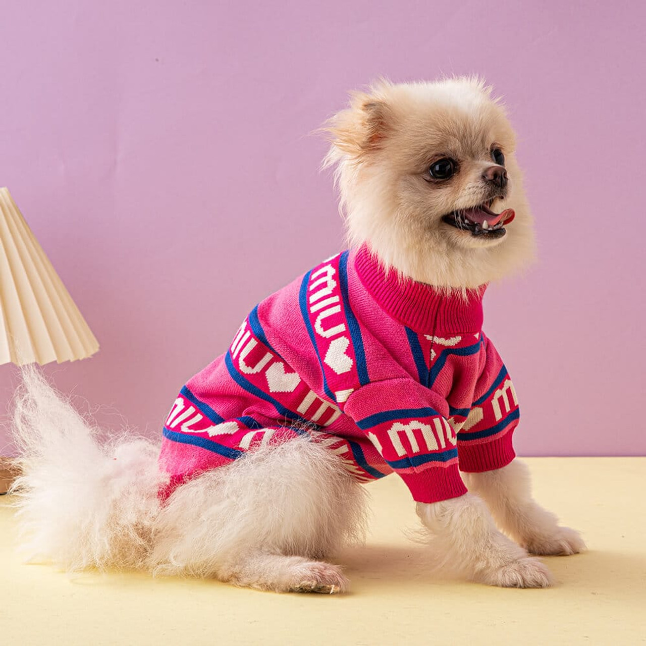 Louis Pup Pink Sweater