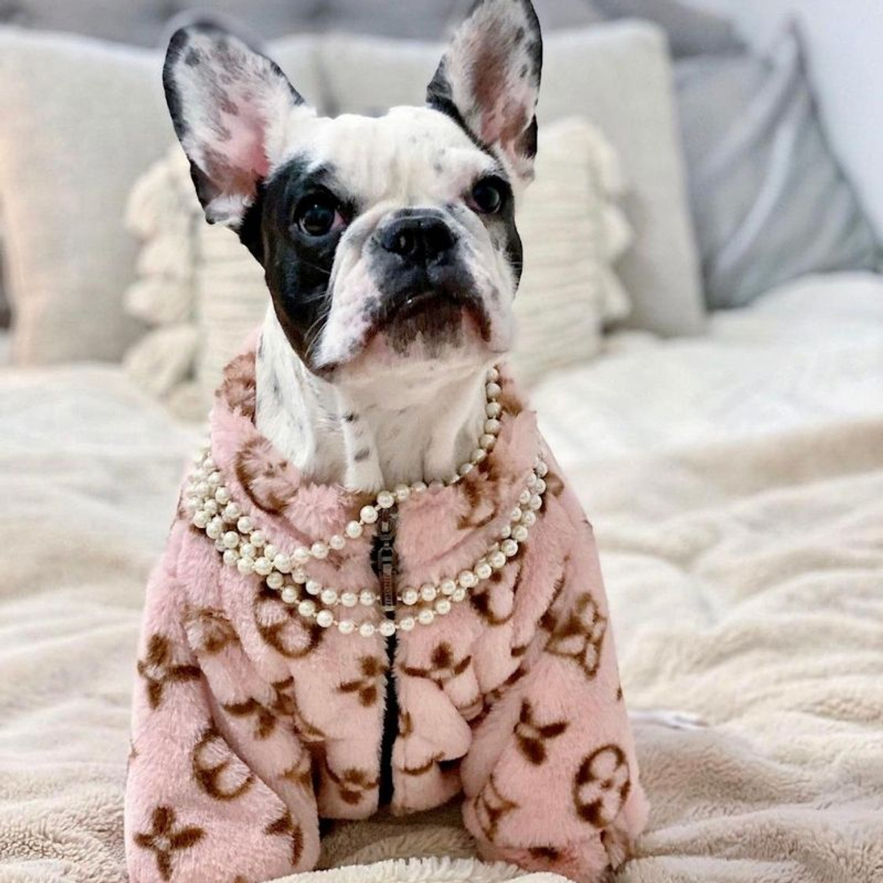 Frenchie Vuitton Sweater