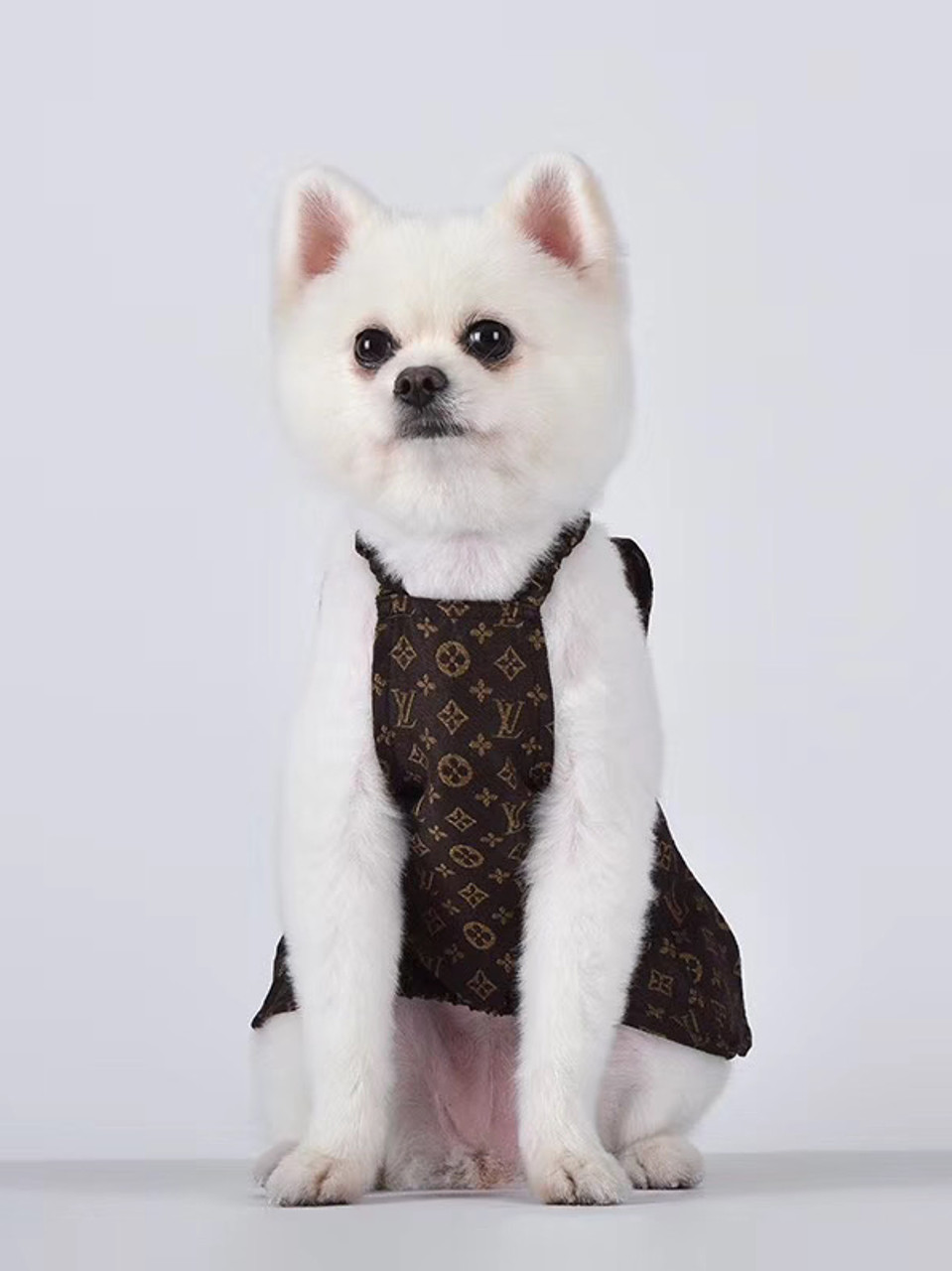 Chewy Vuitton Dog Monogram Dress