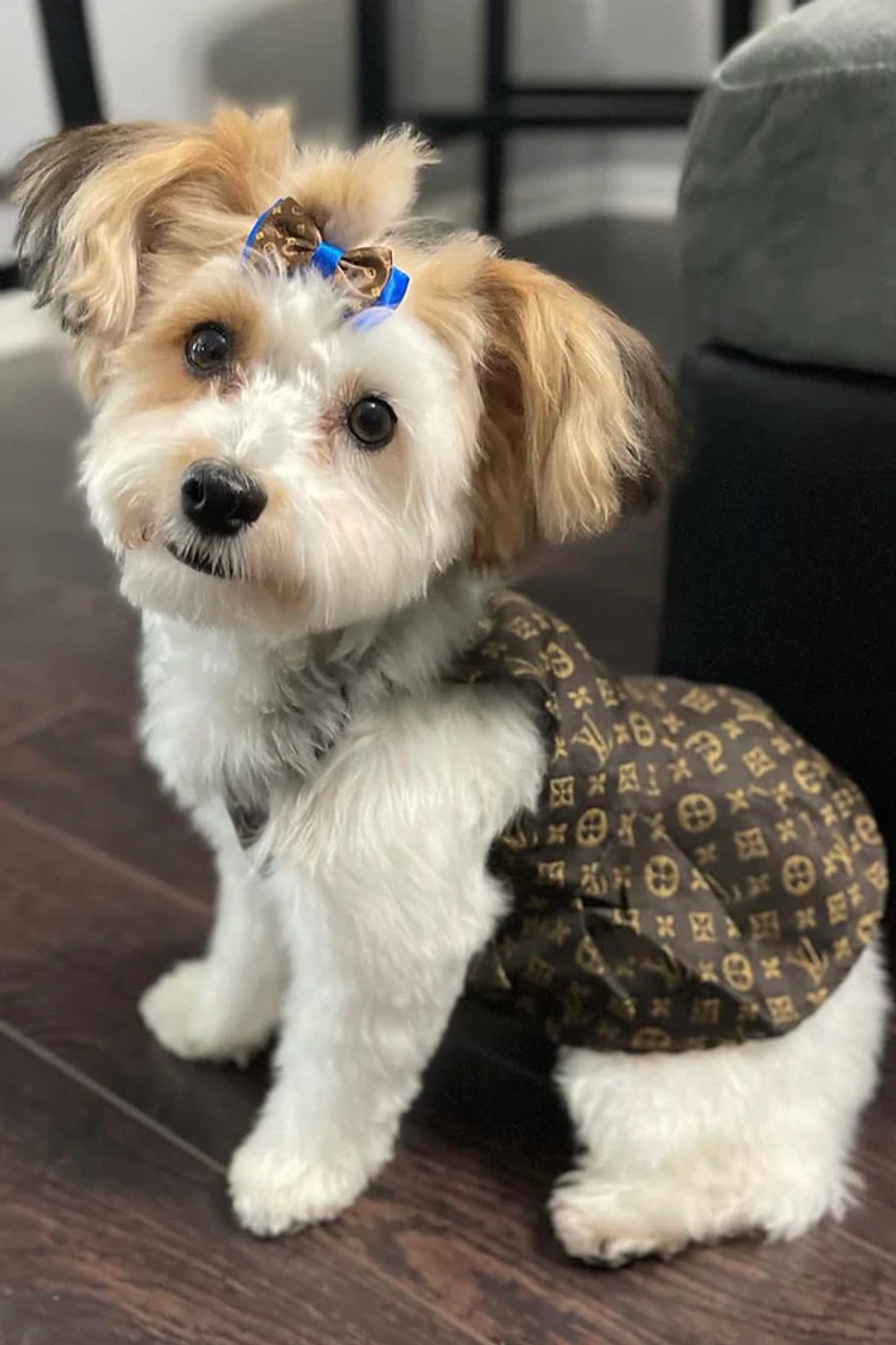 CHEWY VUITTON DRESS