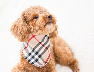 DOG FURBERRY BANDANA DOG FURBERRY BANDANA