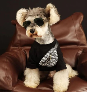 nicole-and-baby-dior-waist-bag-dog-pet-luxury-boutique nicole-and-baby-dior-waist-bag-dog-pet-luxury-boutique