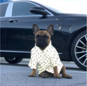 Dog Bandana Brown Louis Vuitton Inspired for Sale – Sister Sue's Closet