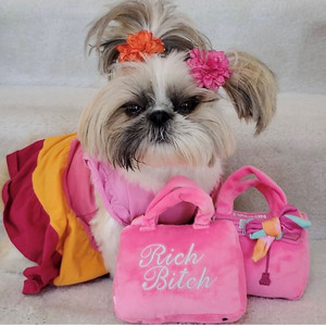 nicole-and-baby-barkin-birkin-toy-dog-clothes-rich-plush-pets-accessories-outfits-sydney-australia nicole-and-baby-barkin-birkin-toy-dog-clothes-rich-plush-pets-accessories-outfits-sydney-australia