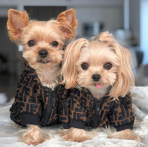 dog-furdi-fendi-puppy-sweater-jumper-puffer-vest-pet-boutique-nicole-and-baby-pet-dog-boutique dog-furdi-fendi-puppy-sweater-jumper-puffer-vest-pet-boutique-nicole-and-baby-pet-dog-boutique