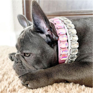 dog-puppy-Bling-Crystal-Stone-Rhineston-pink-dog-necklace-puppies-nicole-and-baby-flatlay-frenchie2 dog-puppy-Bling-Crystal-Stone-Rhineston-pink-dog-necklace-puppies-nicole-and-baby-flatlay-frenchie2