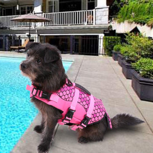 dog-pink-lifejacket-saftey-vest-floation-device-puppy-nicole-and-baby-frenchie-flatlay dog-pink-lifejacket-saftey-vest-floation-device-puppy-nicole-and-baby-frenchie-flatlay