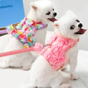 dog-flower-harness-pink-purple-colour-floral-luxury-puppy-pomeranian-dog-puppy-leash-acessories-nicole-and-bab dog-flower-harness-pink-purple-colour-floral-luxury-puppy-pomeranian-dog-puppy-leash-acessories-nicole-and-bab