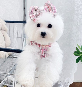 Chanel Tweed Dog Harness