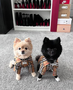 burberry-furberry-shirt-tartan-nicole-and-baby-outfit-pet-luxury-pet-boutique5 burberry-furberry-shirt-tartan-nicole-and-baby-outfit-pet-luxury-pet-boutique5