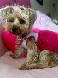 australia-Pet-Dog-Love-Heart-Sequins-Gauze-Small-Dog-Lace-Skirt-Princess-Tutus-Dress-Cat-Rose-Red.jpg_