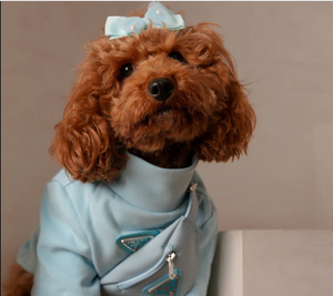 dog-prada-pawda-shirt-size-chart dog-prada-pawda-shirt-size-chart