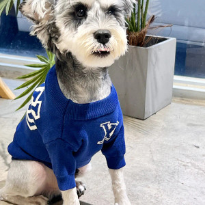 Louis-blue-dog-sweater Louis-blue-dog-sweater