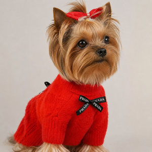BOW PAWDA SWEATER