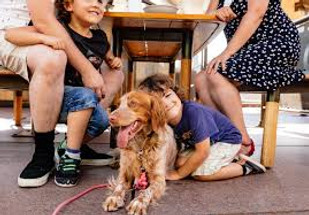 Opera Bar's Seagull Patrol: How Dogs are Keeping Sydney Safe and Scenic! Opera Bar's Seagull Patrol: How Dogs are Keeping Sydney Safe and Scenic!