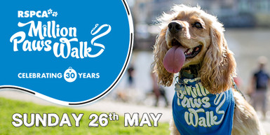 Join Us for the Million Paws Walk in Sydney: Nicole and Baby Supports the RSPCA Join Us for the Million Paws Walk in Sydney: Nicole and Baby Supports the RSPCA