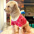 pug-pucci-gucci-pink-dog-sweater-pink-hoodie-nicole-and-baby-puppy pug-pucci-gucci-pink-dog-sweater-pink-hoodie-nicole-and-baby-puppy