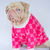 pug-pucci-gucci-pink-dog-sweater-pink-hoodie-nicole-and-baby-puppy pug-pucci-gucci-pink-dog-sweater-pink-hoodie-nicole-and-baby-puppy